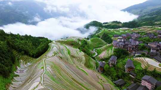 航拍广西桂林龙脊梯田高山云海壮丽风景