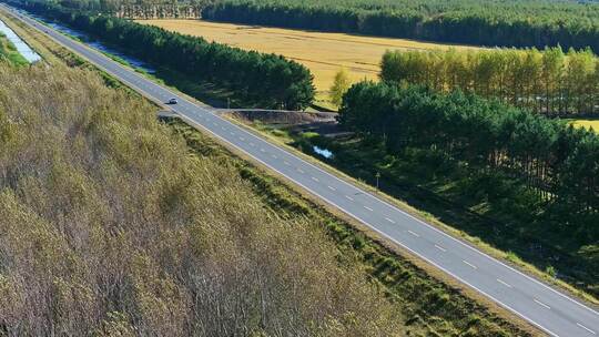 穿过树林与农田的公路航拍