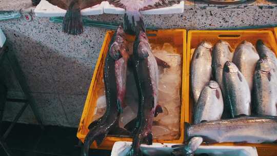 鱼店柜台上的新鲜海鱼