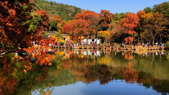 苏州天平山红枫秋景视频素材模板下载