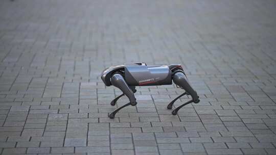 智能机器人机器狗在大街上展示