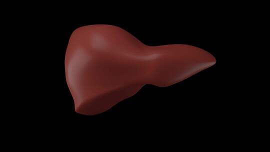 人类肝脏的3D模型在黑色背景上旋转以进行视频素材模板下载