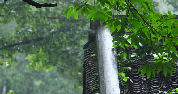 江南雨季中式园林建筑绿植雨滴