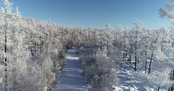 零下40多度的低温航拍大兴安岭冰雪雾凇