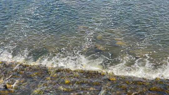 河堤流水石头