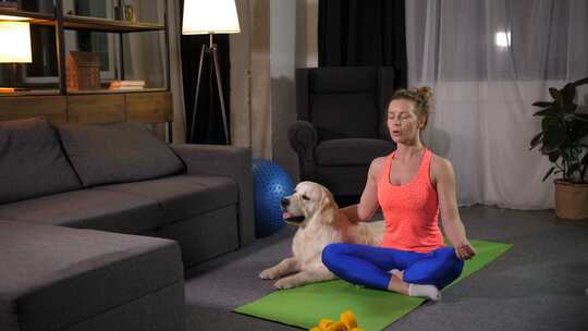 瑜伽女人和狗在莲花姿势中冥想视频素材模板下载