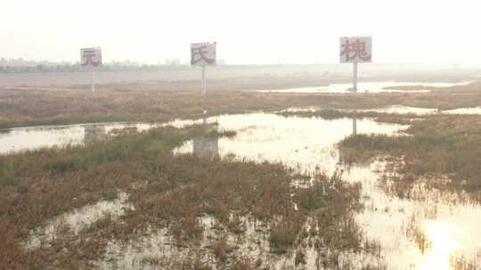 湿地 鸟 自然保护区 湿地保护区 北方