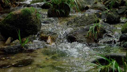 山涧小河森林溪流