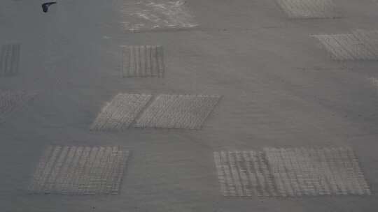 霞浦海田航拍