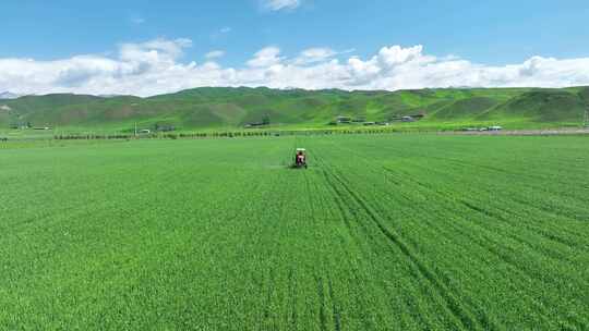 新疆伊犁唐布拉草原农民喷药 新农 环保视频素材模板下载