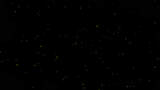 黑色背景粒子特效高清在线视频素材下载