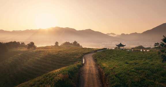 日出茶山晨雾航拍