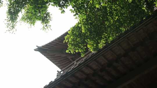 寺庙阁楼绿植天空空镜头「升格」视频素材模板下载