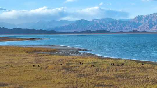 青海小柴旦湖