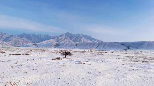 贺兰山雪景 贺兰山西麓雪景4