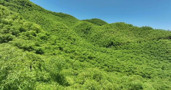 浙江安吉余村绿水青山金山银山竹海