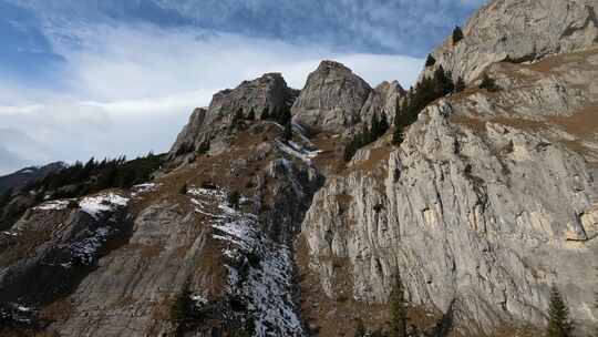 FPV航拍岩羊藏羚羊登山高山雪山小鸟飞翔