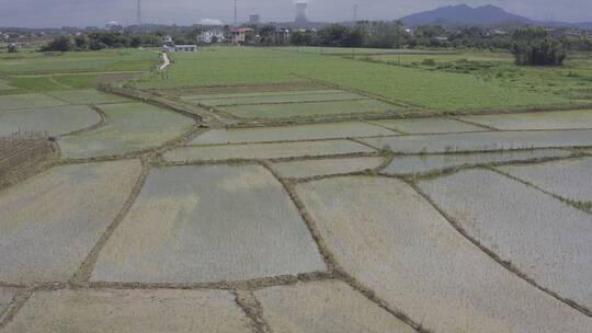 田园 田野 农田 农村 农地 耕种