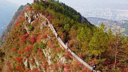 长江三峡巫峡红叶