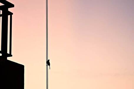 石家庄苹香 纯净 木吉他 花园 微风 石家庄苹香 纯净 木吉他 花园 微风