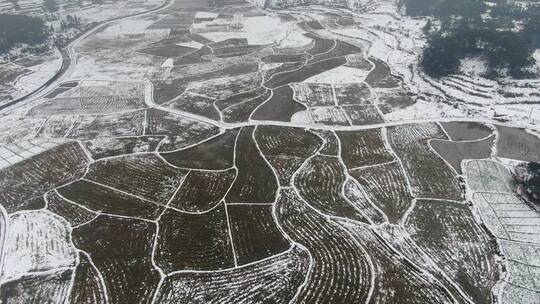 航拍冬天农田水田雪景