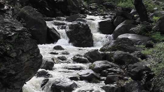 森林中 山泉小溪水