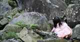 小女孩在山野爬石头玩耍高清在线视频素材下载