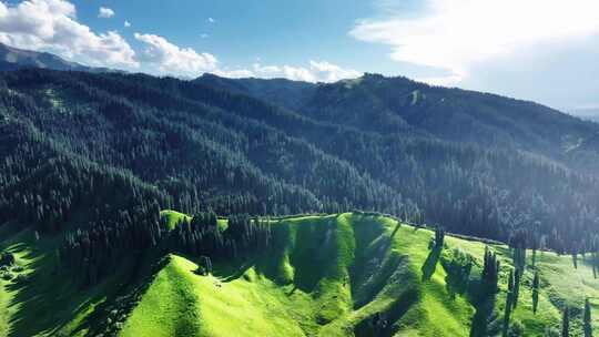 山林间的航拍全景