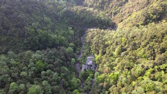 森林山谷航拍视频素材模板下载