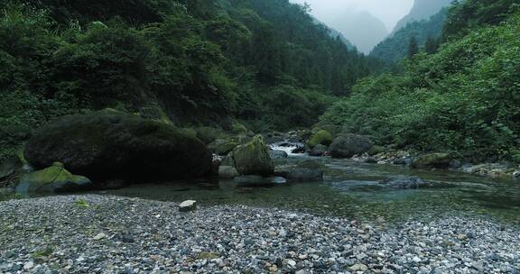 峨眉后山夏日山涧溪流清凉宜人