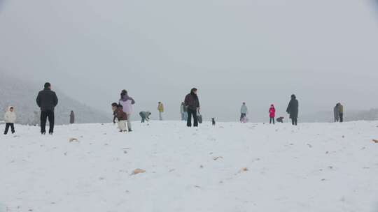 雪地里人群玩雪活动与奔跑的小黑狗