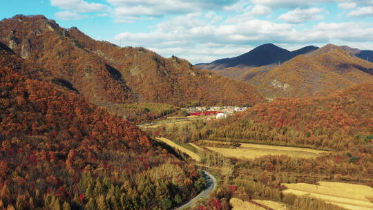 东北秋季山林公路五彩斑斓美丽景色航拍风光