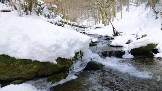 森林被大雪覆盖冰雪逐渐融化视频素材模板下载