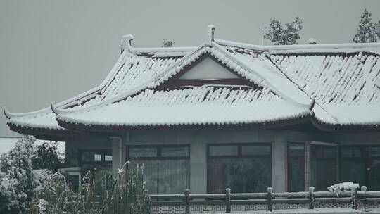 杭州西湖风景区雪景