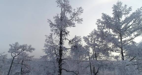 零下40度的低温航拍大兴安岭冰雪雾凇