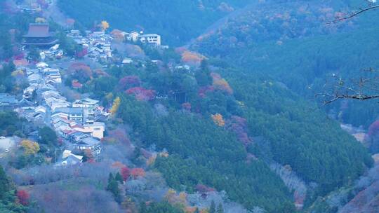 日本吉野山山顶风景视频合集