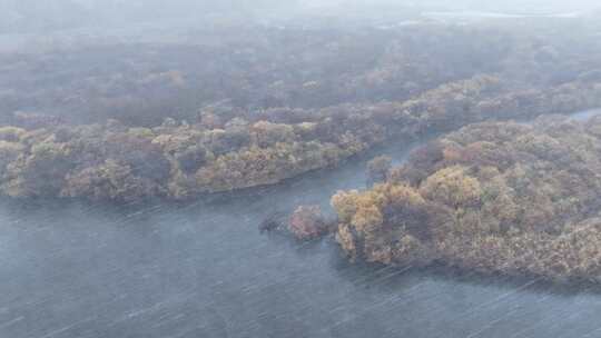 航拍秋季呼伦贝尔湿地风雪交加视频素材模板下载