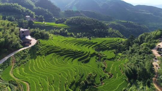 遂川梯田