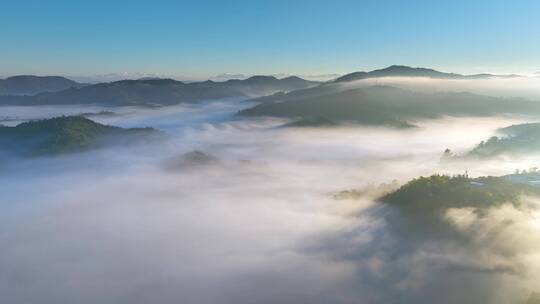 茶山茶园云海日出