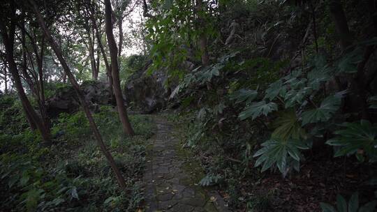 杭州吴山景区阮公祠