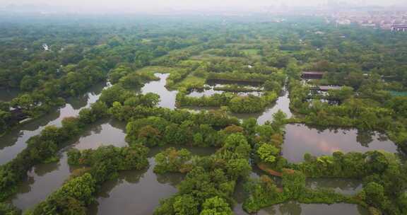 杭州西溪湿地公园夏天风光航拍