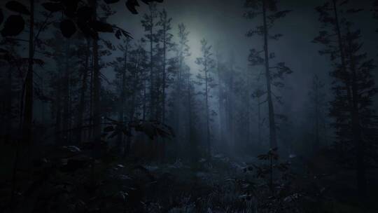 夜晚的森林视频素材模板下载