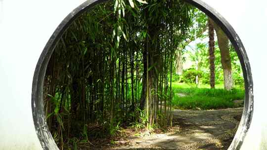江南园林庭院竹林竹子光影的唯美古风空镜