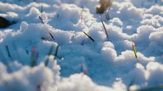 殷秀梅《我爱你塞北的雪》舞台背景