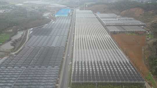 现代农业大棚种植基地航拍