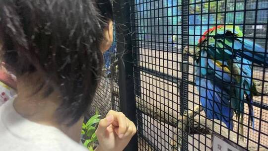 济南科技馆热带雨林动物、植物展览