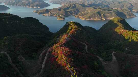 洛阳荆紫仙山红叶