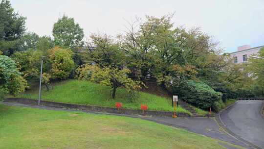 日本 大阪大学 校园美景 0237