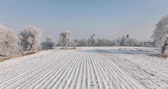 雪后田野间银装素裹的景象