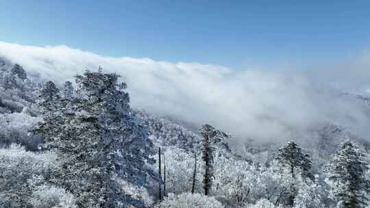 蓝天下山川雪景云海雾凇绝美仙境航拍视频